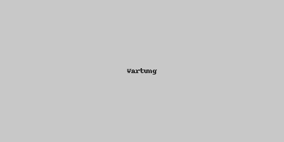 Wartung